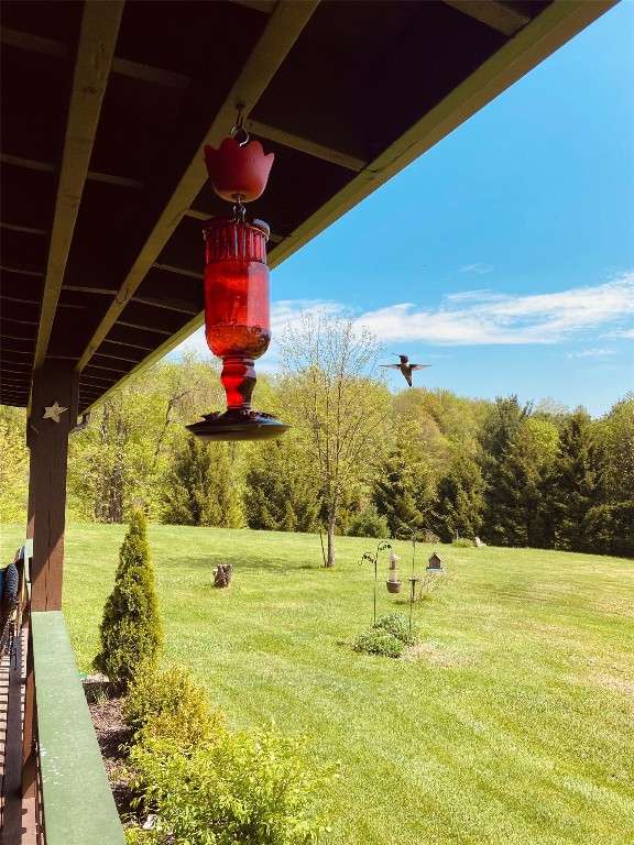 10 Howe Road Berkshire, NY 13736 - Photo 8 of 41 Gallery Image 8