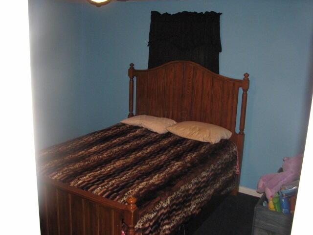 4165 Alten Road Sugar Grove, OH 43155 - Photo 28 of 78 IMG_4663