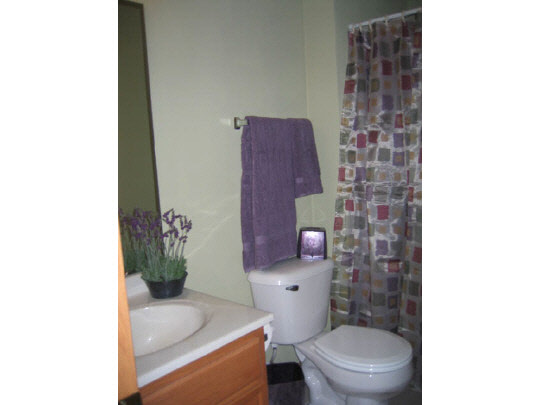 10372 Marblewing Road Roscoe, IL 61073 - Photo 7 of 7 a bathroom with a toilet and a shower