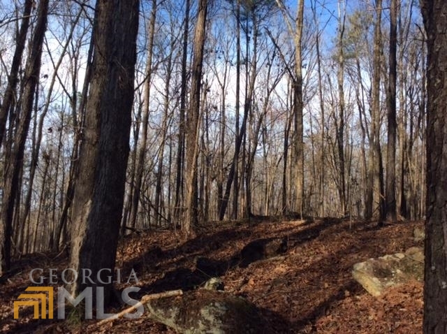 0 Rocky Mount Road Luthersville, GA 30251 - Photo 1 of 1 Gallery Image 1