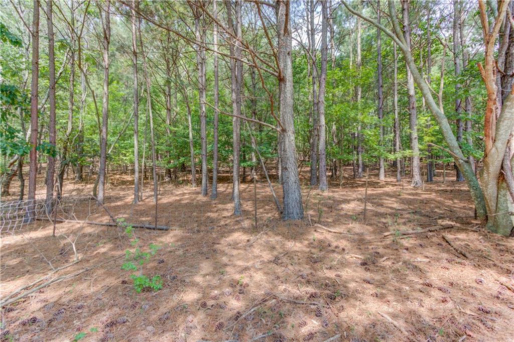 6700 Shady Grove Road Cumming, GA 30041 - Photo 66 of 69