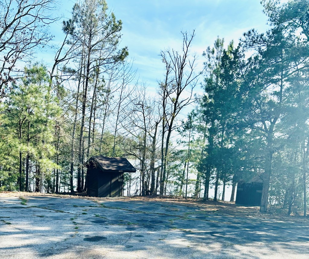 0 Latimer Boat Ramp Road Calhoun Falls, SC 29628 - Photo 18 of 19 Gallery Image 18