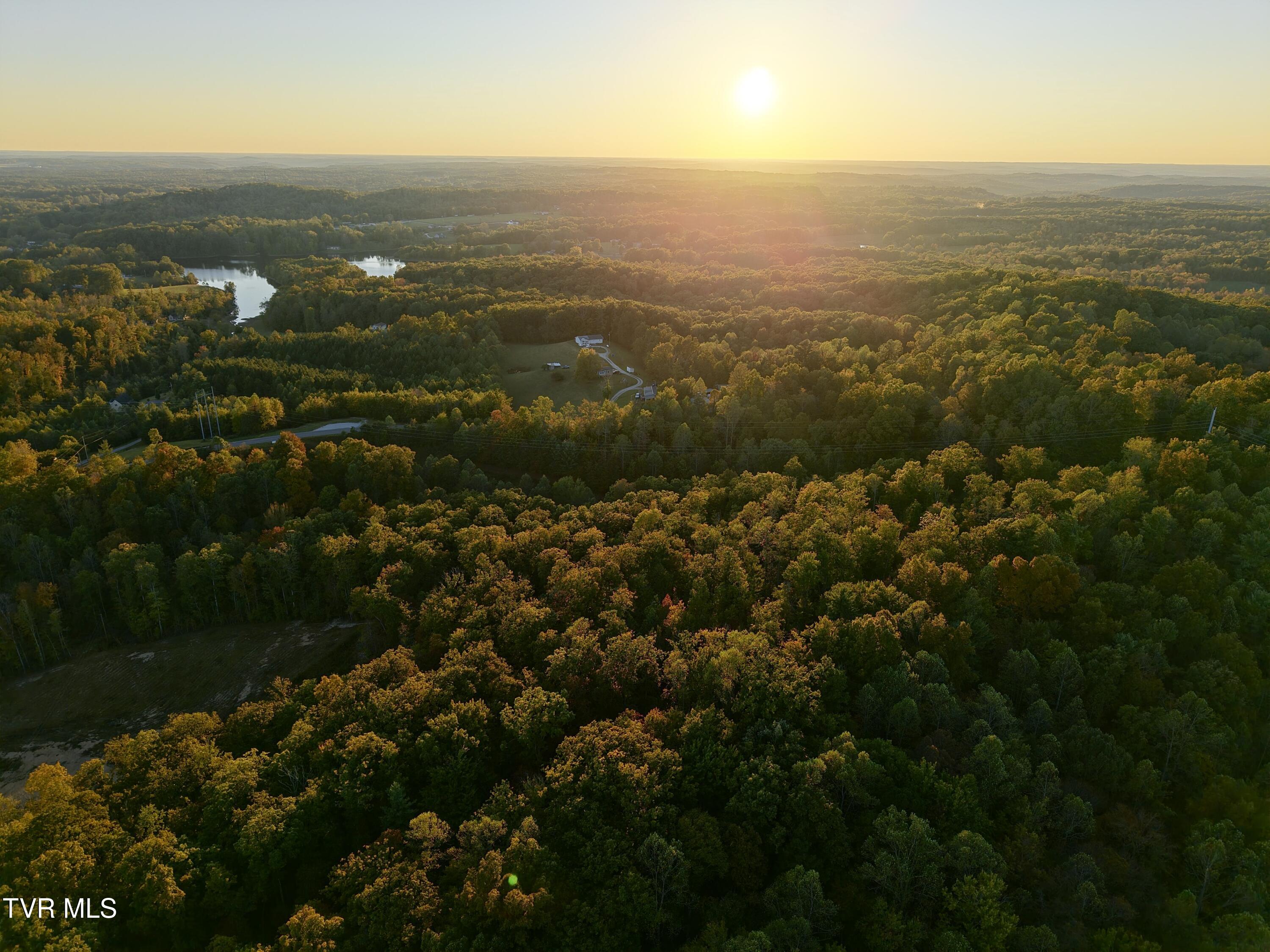 Tbd Grave Hill Road Oneida, TN 37841 - Photo 4 of 8 dji_fly_20251011_191206_0019_17602234233