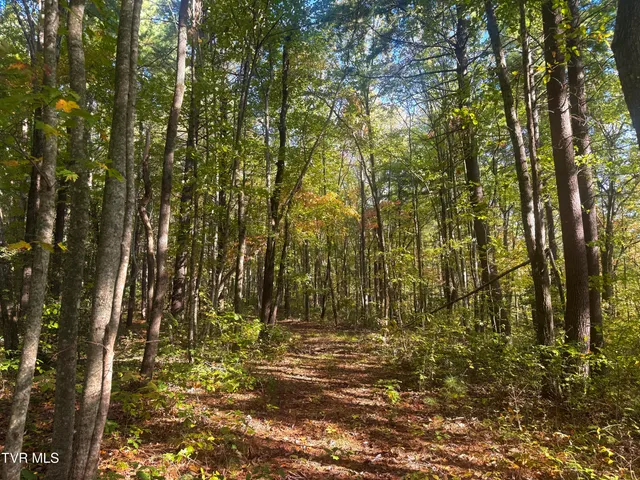 $185,000 | Tbd Grave Hill Road, Oneida, TN 37841