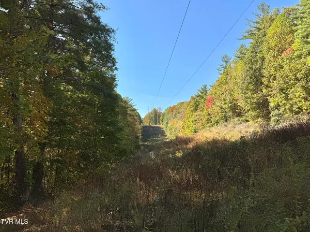 $185,000 | Tbd Grave Hill Road, Oneida, TN 37841