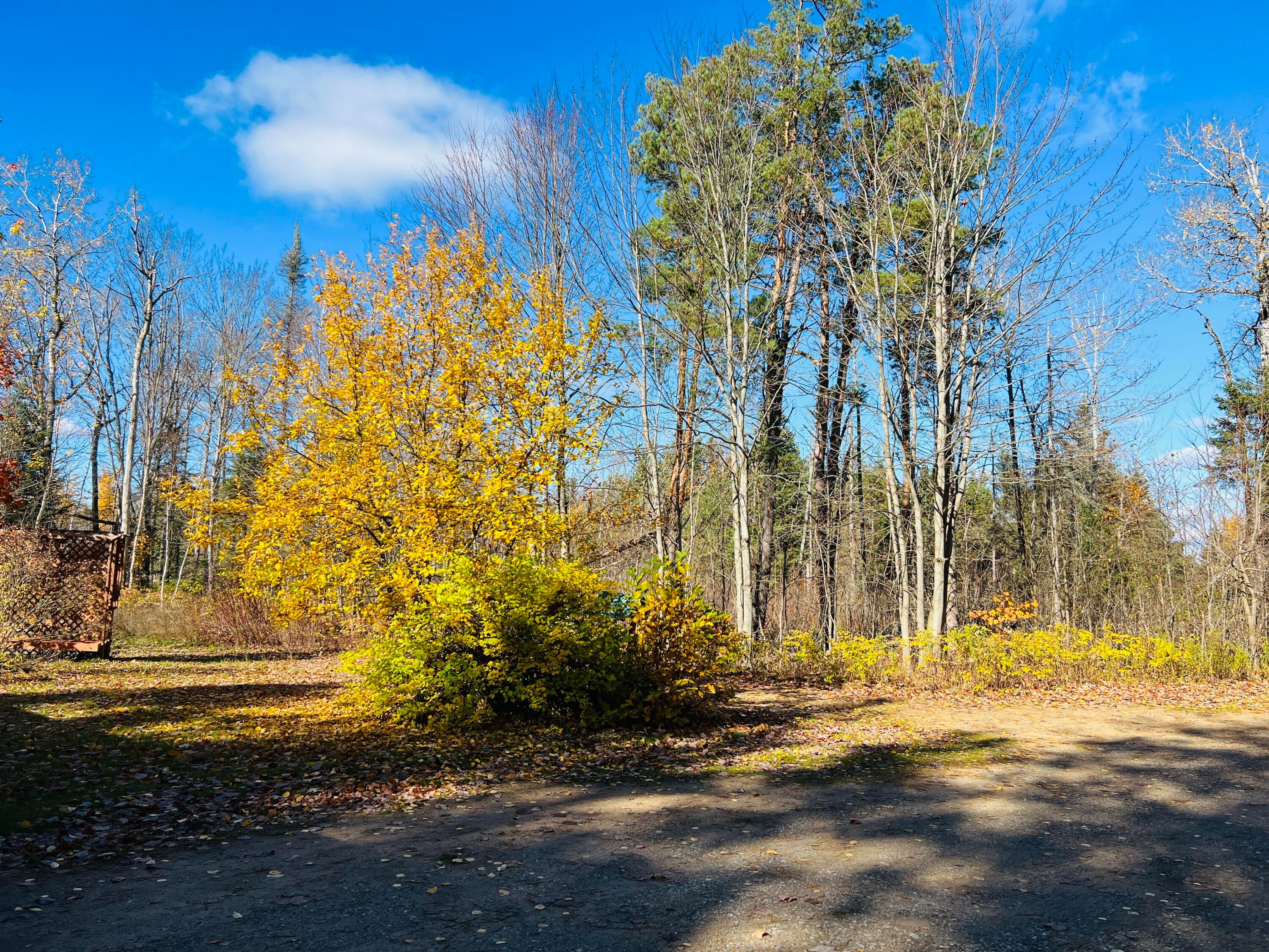 119 West 20 Mile Road Dafter, MI 49724 - Photo 9 of 39 Gallery Image 9