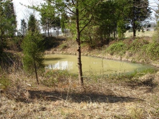Cty Road Niota, TN 37826 - Photo 1 of 1 Primary Photo