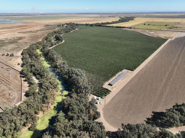 a view of beach and ocean