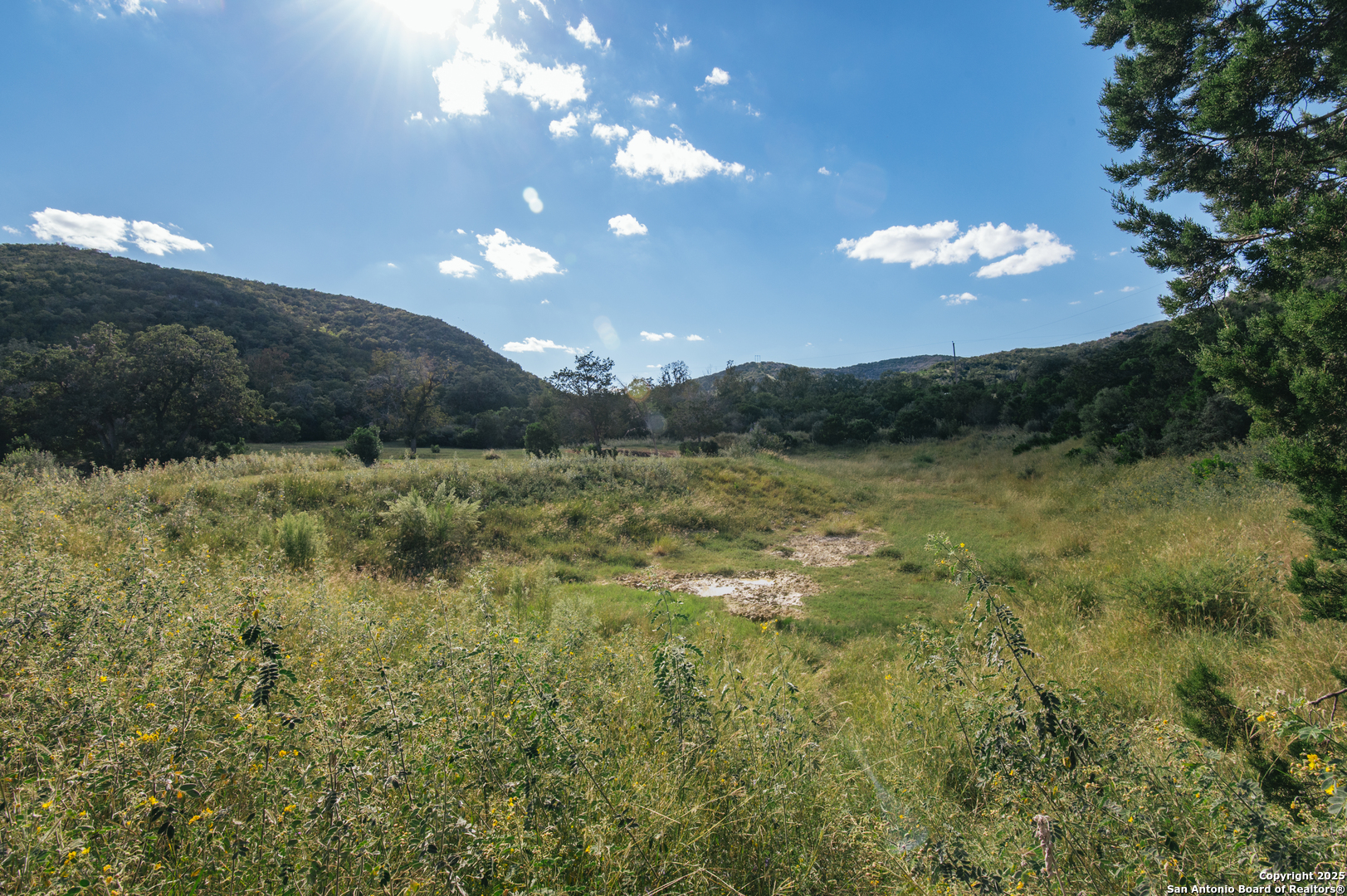 2581 Patterson Creek Road Leakey, TX 78873 - Photo 11 of 42 a view of a big yard