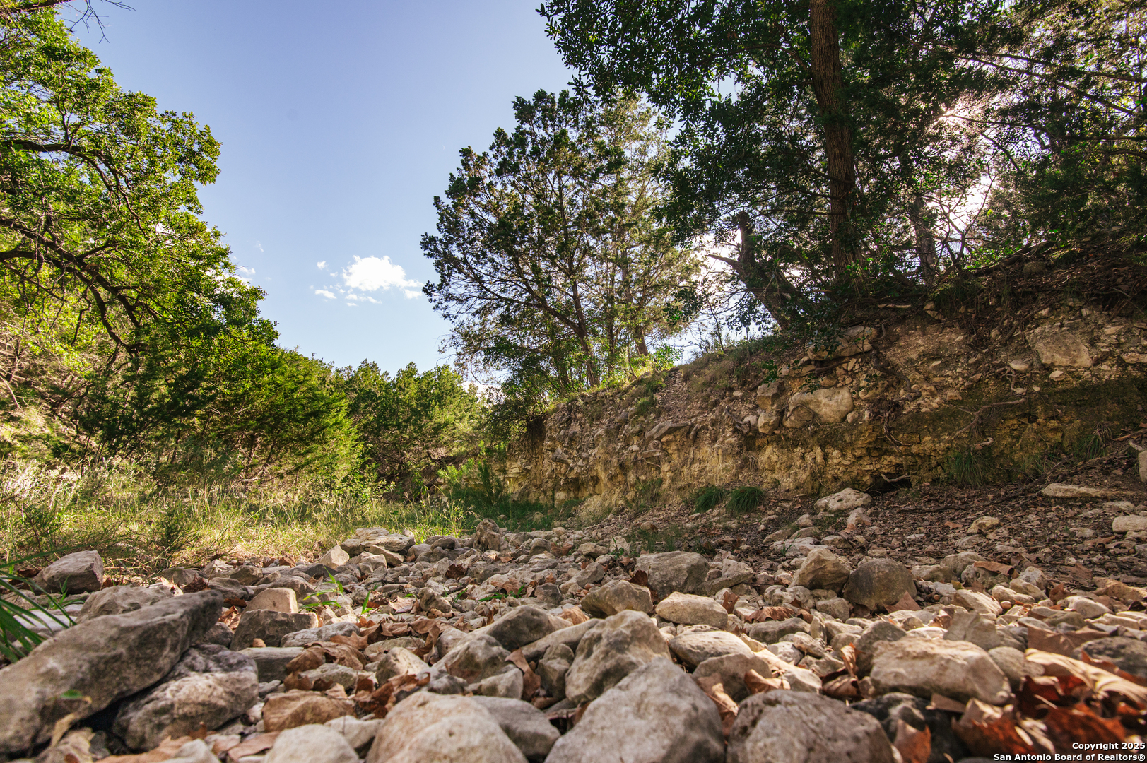 2581 Patterson Creek Road Leakey, TX 78873 - Photo 14 of 42 a view of a yard