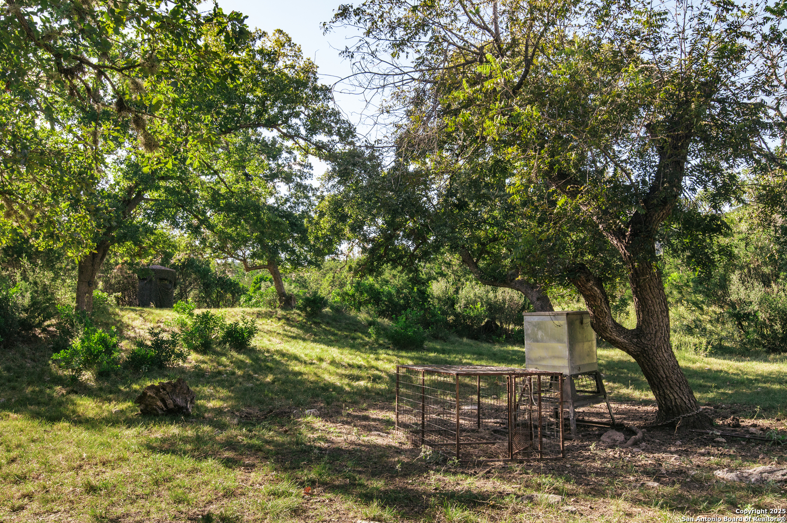 2581 Patterson Creek Road Leakey, TX 78873 - Photo 15 of 42 a view of outdoor space and yard