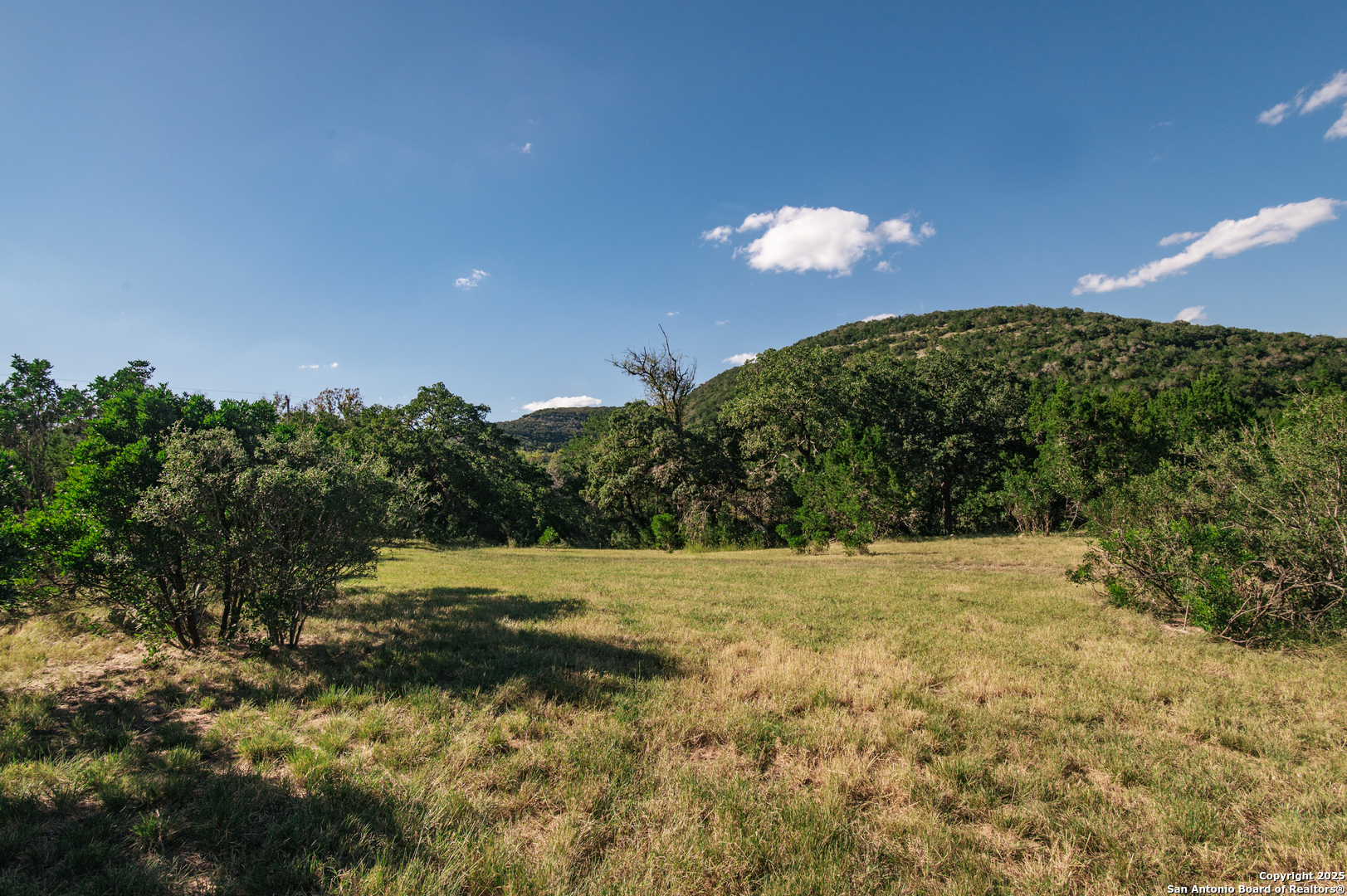 2581 Patterson Creek Road Leakey, TX 78873 - Photo 16 of 42 a view of a yard with trees in the background