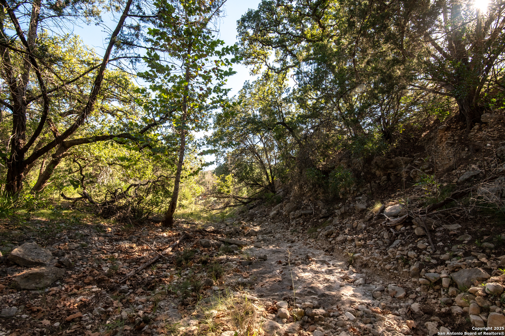 2581 Patterson Creek Road Leakey, TX 78873 - Photo 20 of 42 a view of a tree with a tree