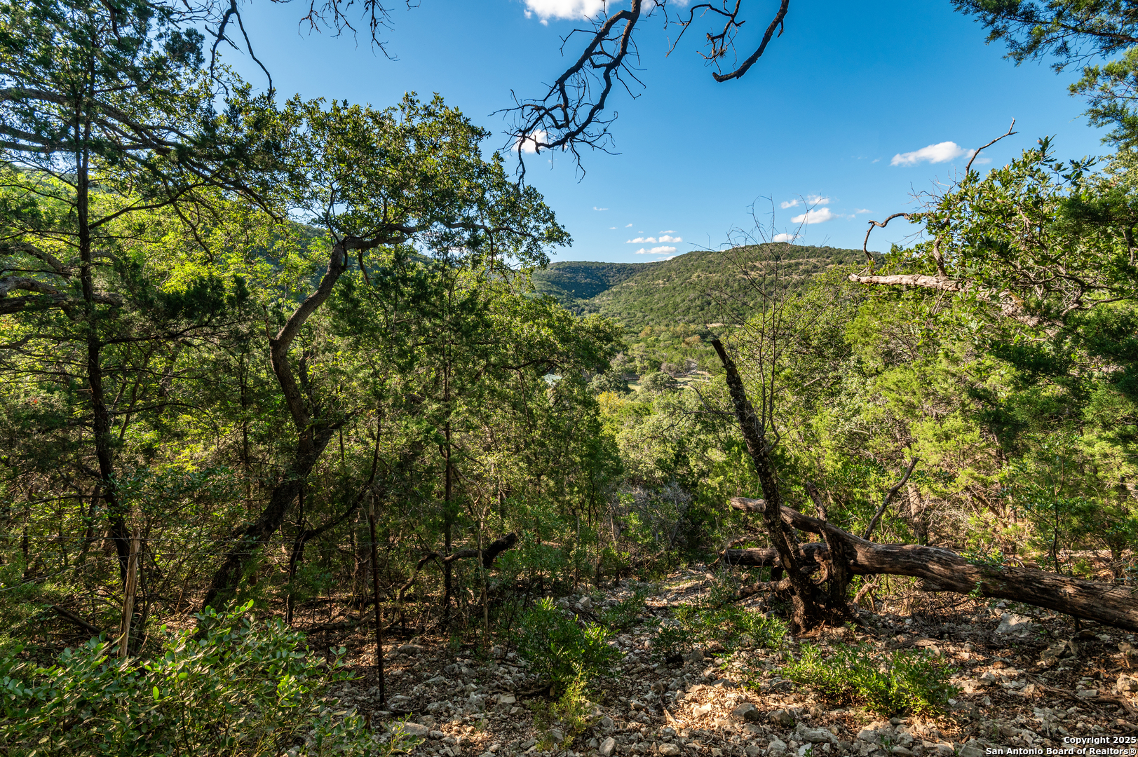 2581 Patterson Creek Road Leakey, TX 78873 - Photo 22 of 42 a view of a yard