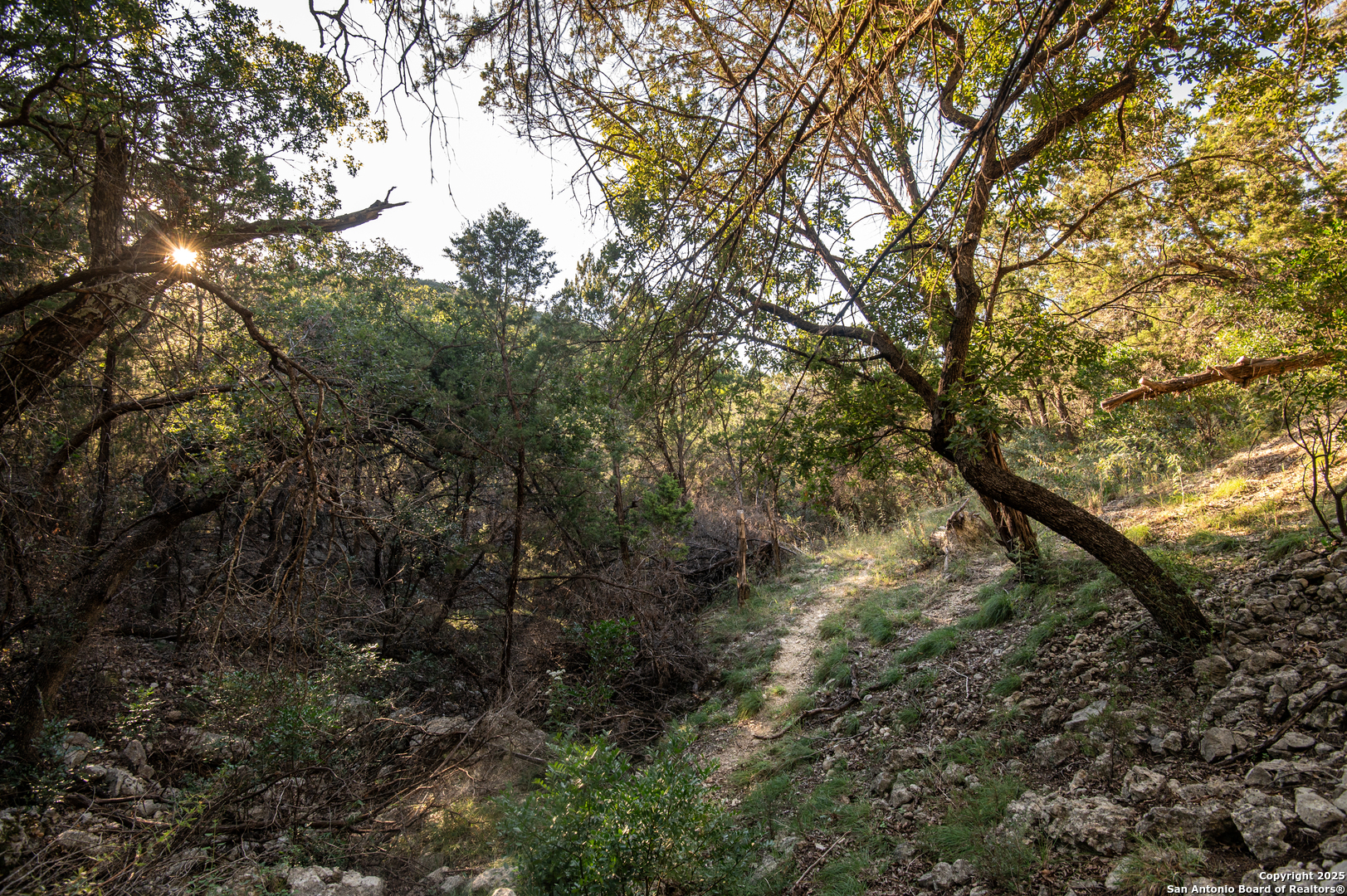2581 Patterson Creek Road Leakey, TX 78873 - Photo 25 of 42 a view of a forest with lots of trees