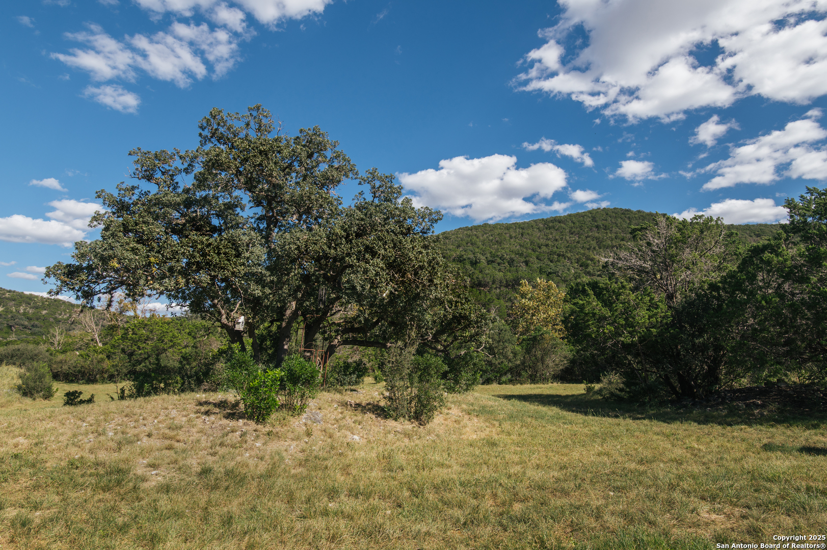 2581 Patterson Creek Road Leakey, TX 78873 - Photo 8 of 42 a view of a tree with a yard