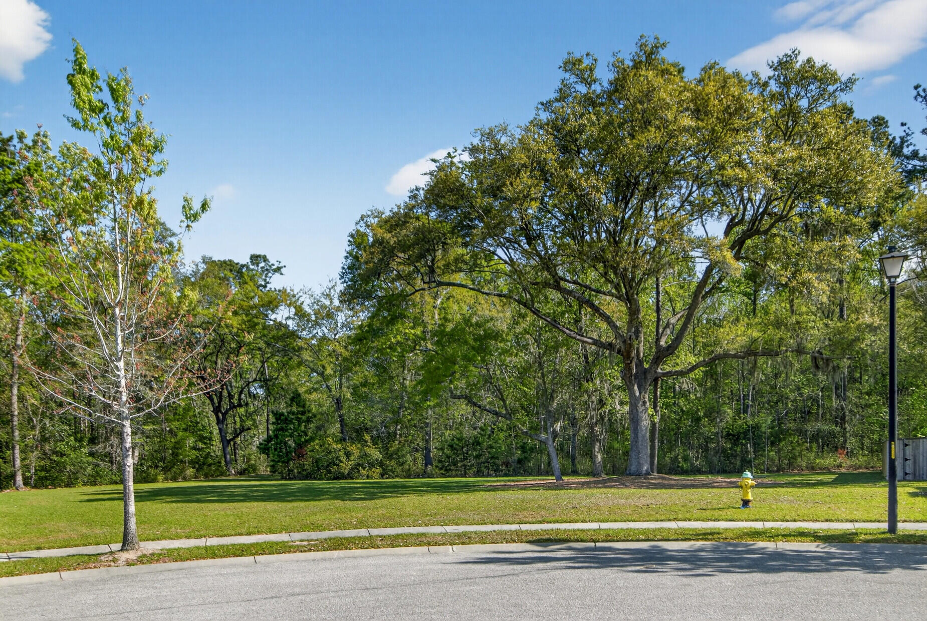 1903 Toland Court Johns Island, SC 29455 - Photo 47 of 65 01___1_mls