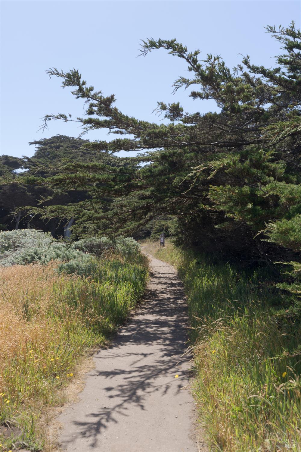 256 Ballast Road The Sea Ranch, CA 95497 - Photo 59 of 66