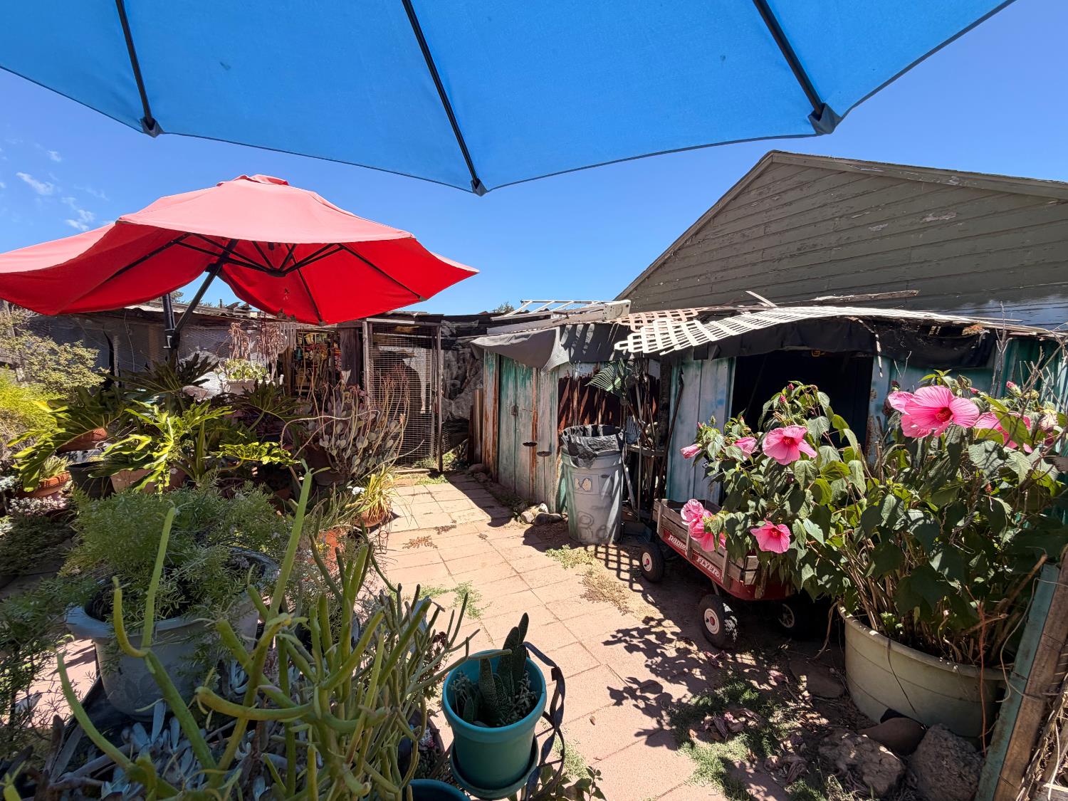 340 Bothun Road Turlock, CA 95380 - Photo 31 of 38 a view of outdoor space yard and patio