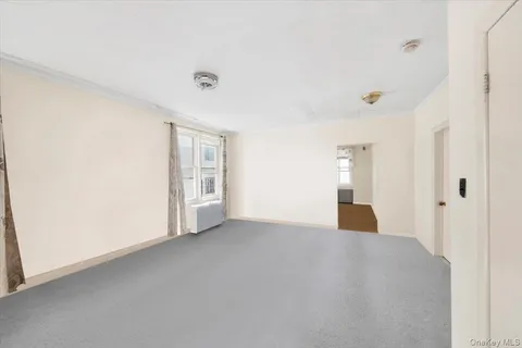 a view of a big room with closet and windows