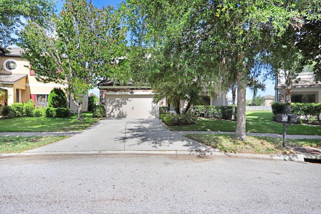 11719 Albatross Lane Riverview, FL 33569 - Photo 9 of 51 a view of a house with a yard and large trees