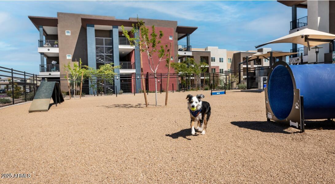 3700 East Williams Field Road, Unit 1 Gilbert, AZ 85295 - Photo 17 of 17 Dog Park