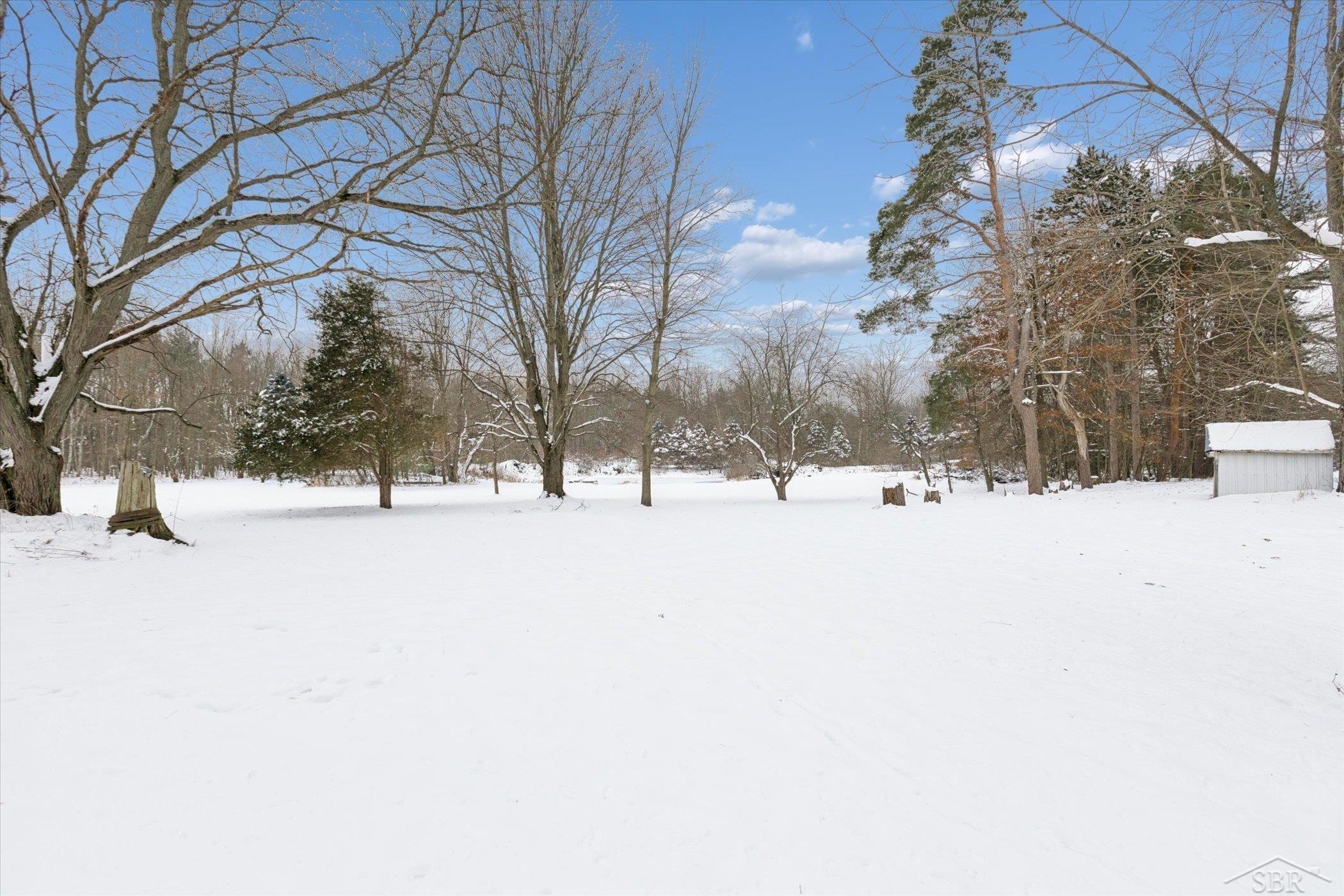 14454 Raucholz Road Chesaning, MI 48616 - Photo 52 of 75 Gallery Image 52