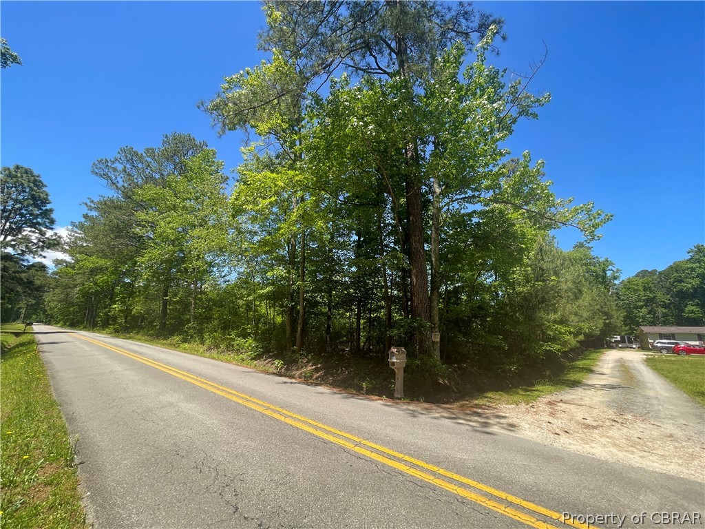 16-ac Ridge Road Cobbs Creek, VA 23035 - Photo 41 of 43 View of street