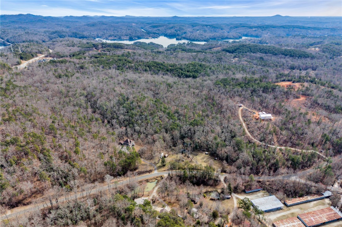 130 Greenbrier Road Salem, SC 29676 - Photo 20 of 42 This elevated view captures the expansive landscape with its natural beauty and distant water.