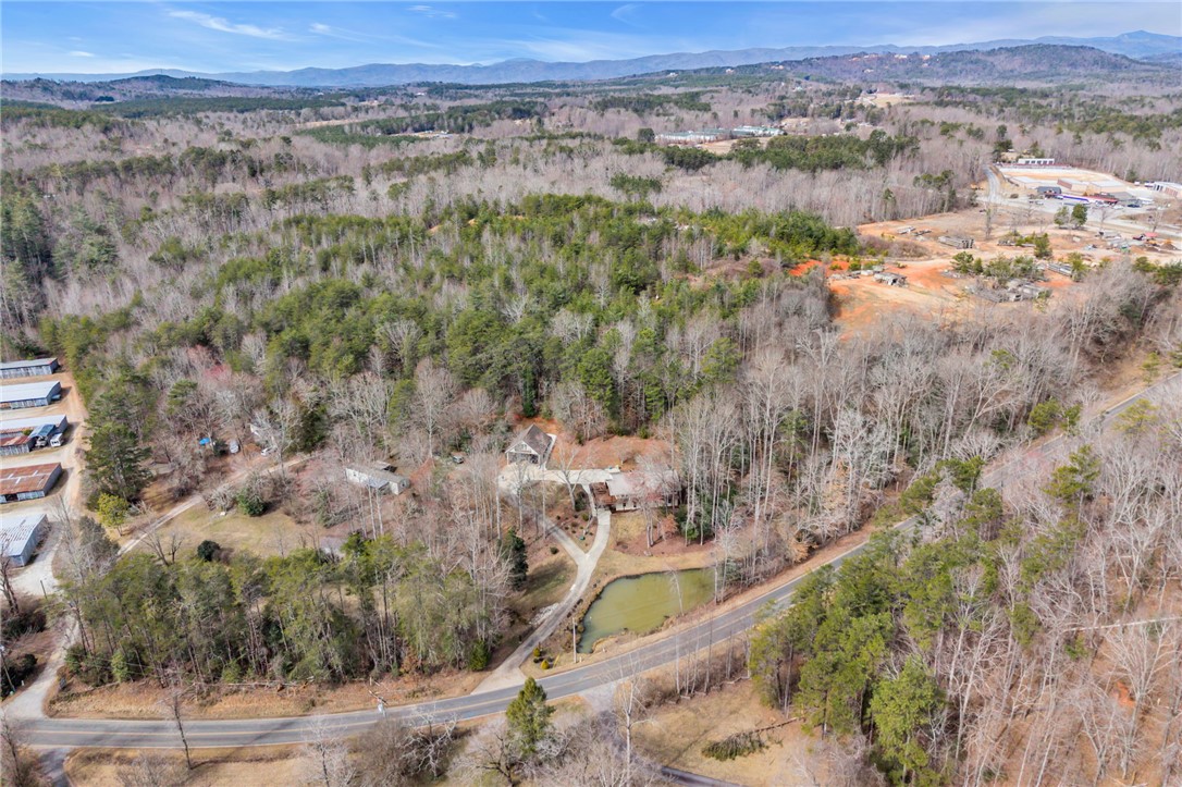130 Greenbrier Road Salem, SC 29676 - Photo 41 of 42 An aerial view captures a scenic landscape with abundant trees, a private pond, and winding roads.