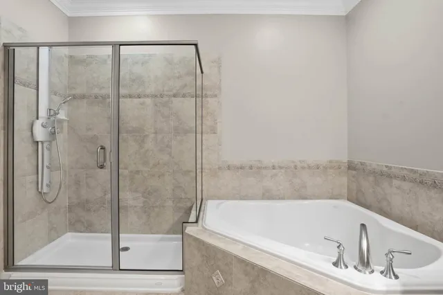 a bathroom with a bathtub and a shower
