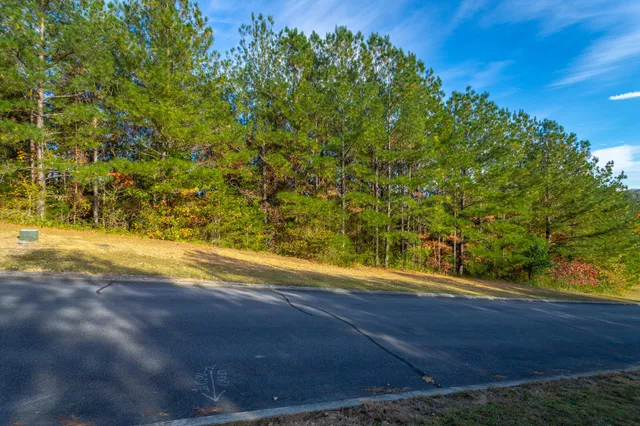 $64,000 | 128 Cherokee Ridge Drive, Ocoee, TN 37361