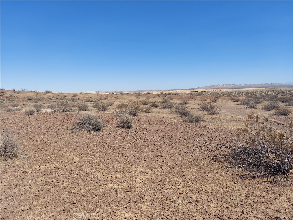 0 Gephart Road, Unit 1 Boron, CA 93516 - Photo 5 of 7 a view of lot of trees
