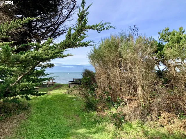 a view of a garden with plants