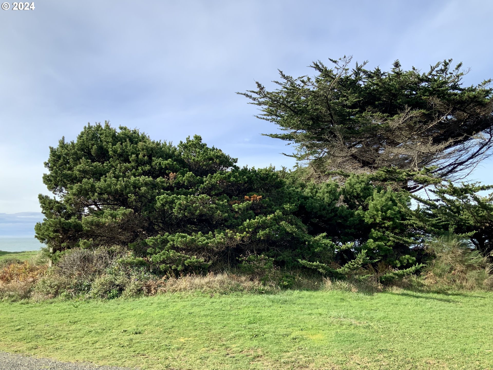 Surfside Drive Gold Beach, OR 97444 - Photo 17 of 19 a view of a garden