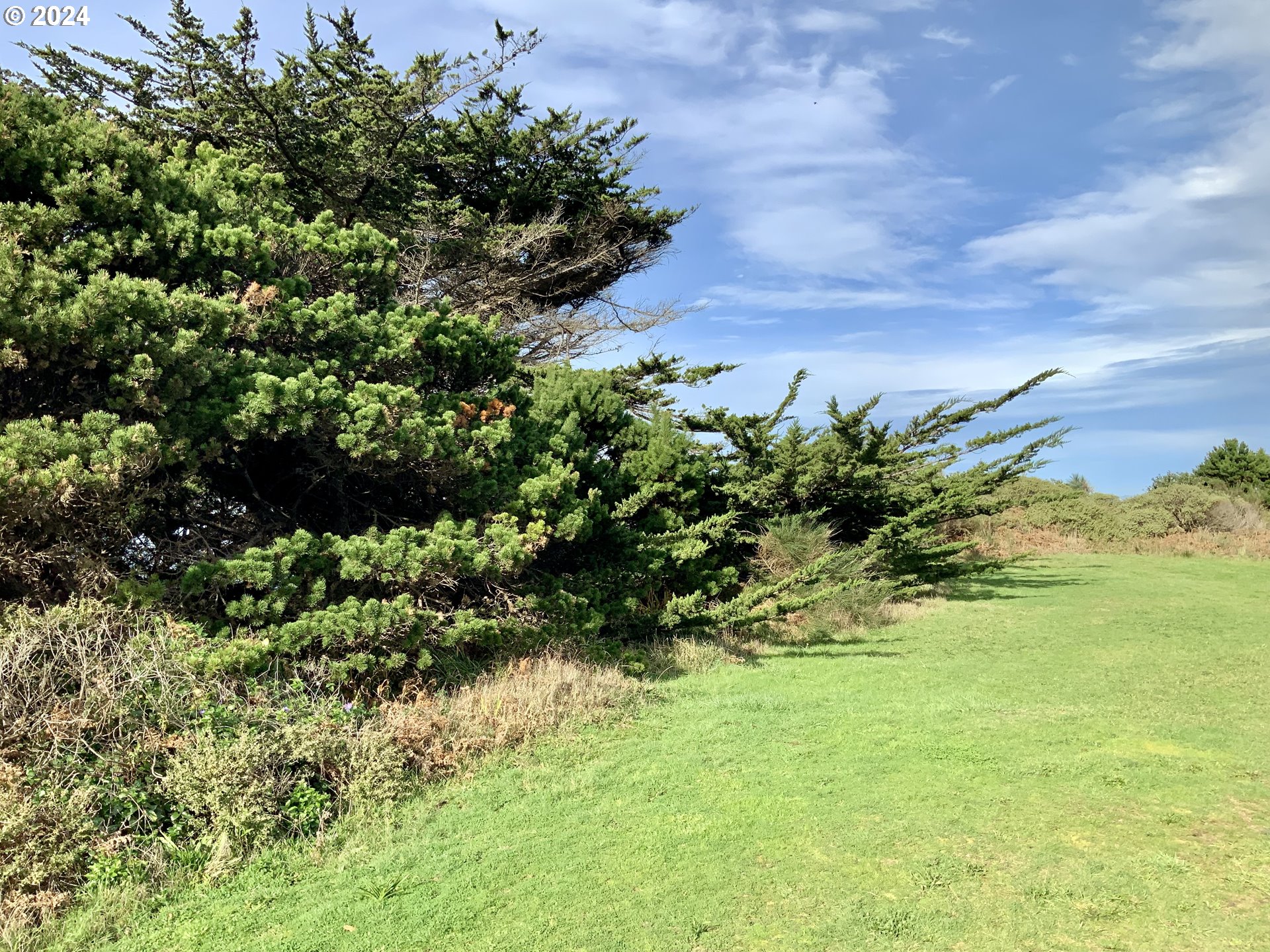 Surfside Drive Gold Beach, OR 97444 - Photo 18 of 19 a view of a garden