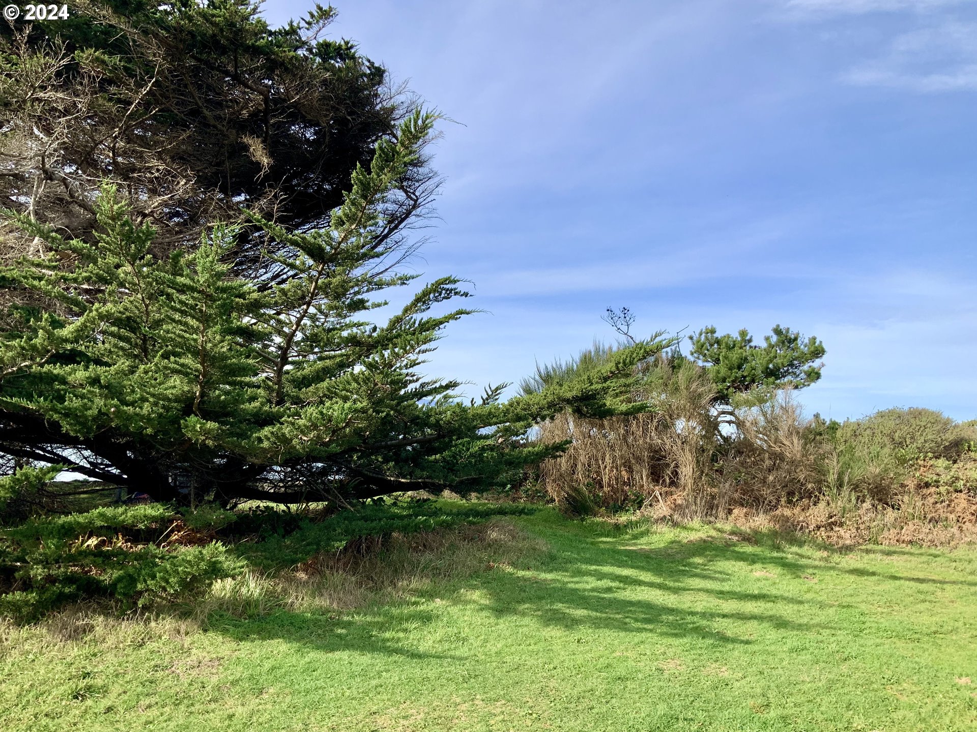 Surfside Drive Gold Beach, OR 97444 - Photo 6 of 19 a view of a garden