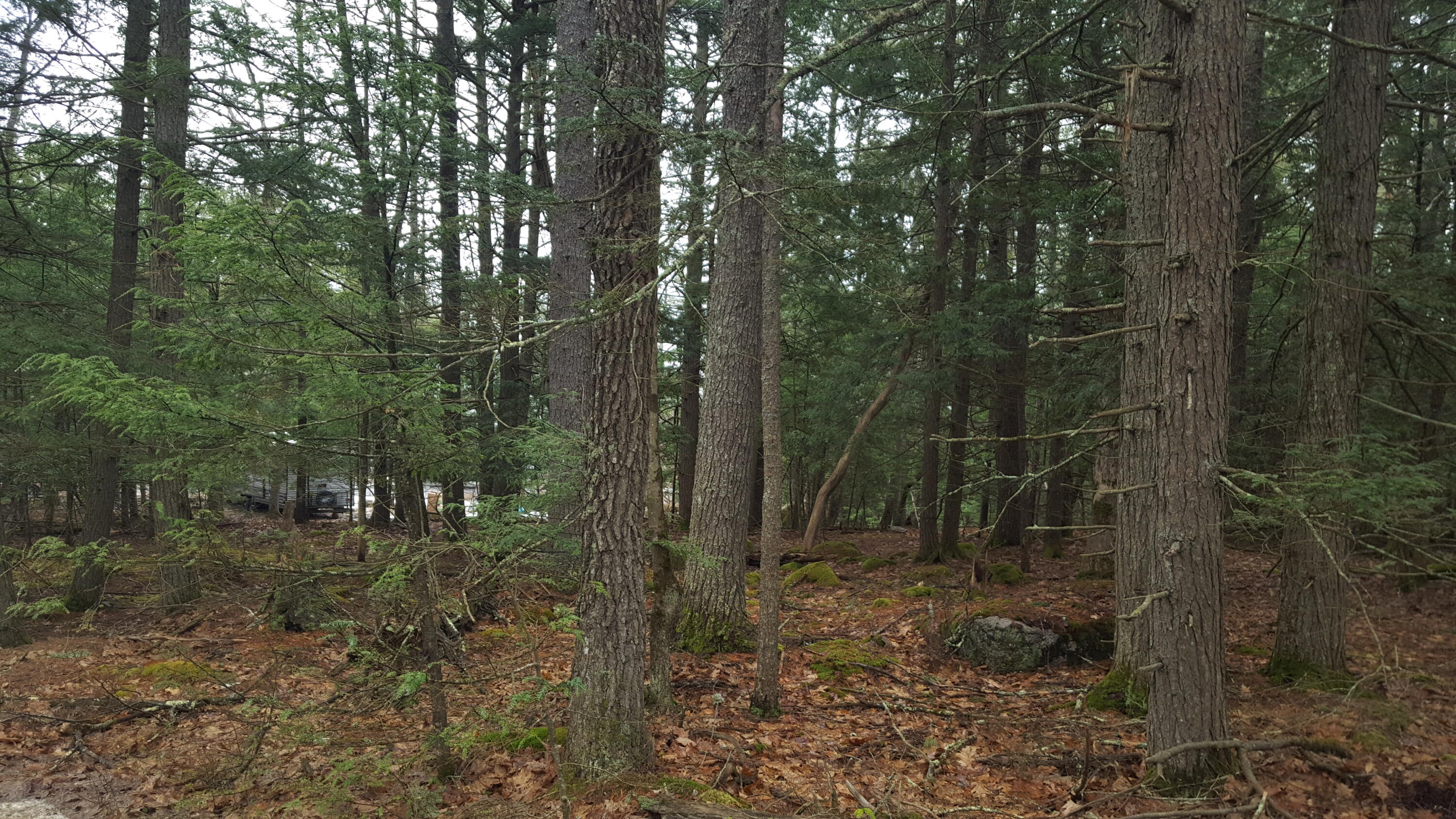 53 Johnson Road Windham, ME 04062 - Photo 21 of 22