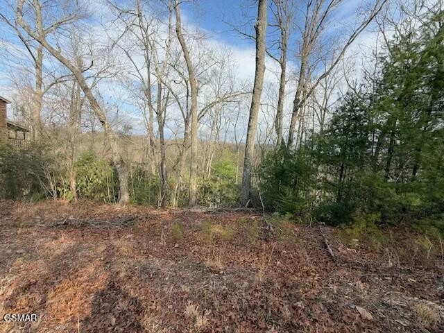 973 Ridgefield Drive Sevierville, TN 37876 - Photo 13 of 13 Gallery Image 13