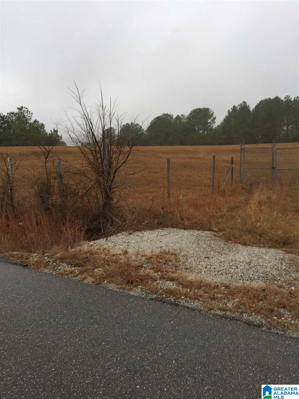0 Hollingsworth Road Jacksonville, AL 36265 - Photo 3 of 7