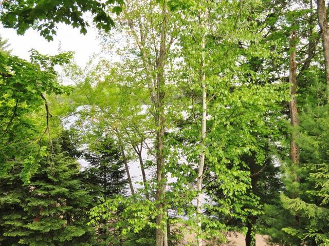 668 Bollom Road Three Lakes, WI 54562 - Photo 10 of 10 Gallery Image 10