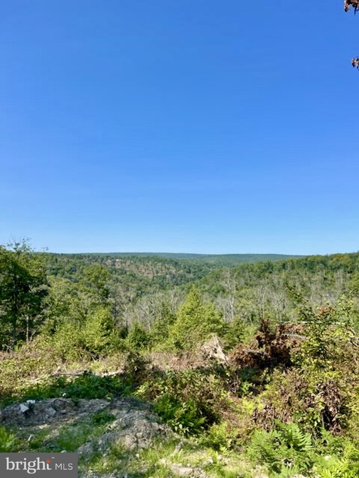 25 Beech Creek Mountain Road Beech Creek, PA 16822 - Photo 2 of 13 Views for miles from a potential build site