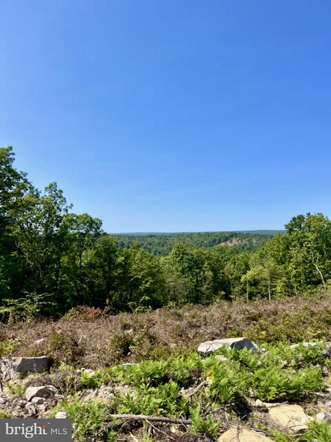 25 Beech Creek Mountain Road Beech Creek, PA 16822 - Photo 4 of 13