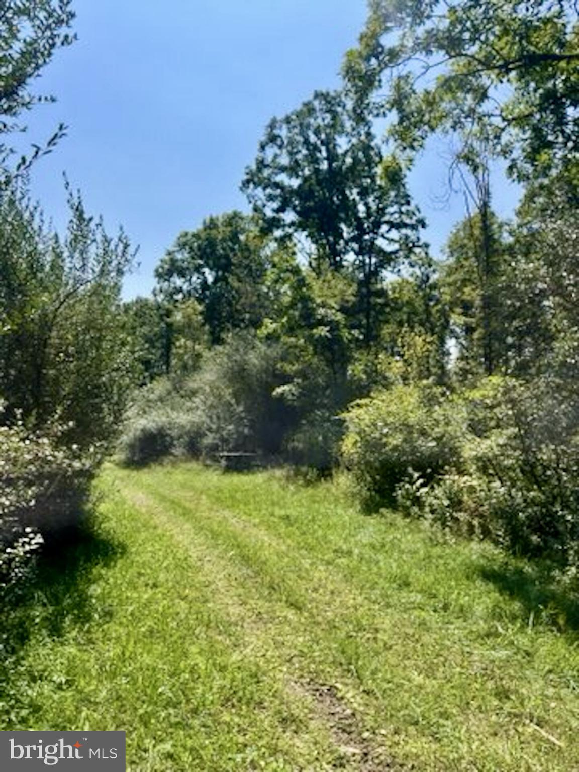 25 Beech Creek Mountain Road Beech Creek, PA 16822 - Photo 5 of 13