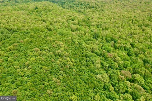 $105,000 | 25 Beech Creek Mountain Road, Beech Creek, PA 16822