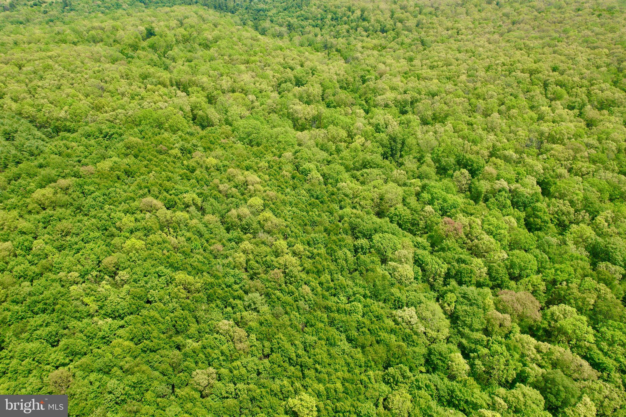 25 Beech Creek Mountain Road Beech Creek, PA 16822 - Photo 8 of 13