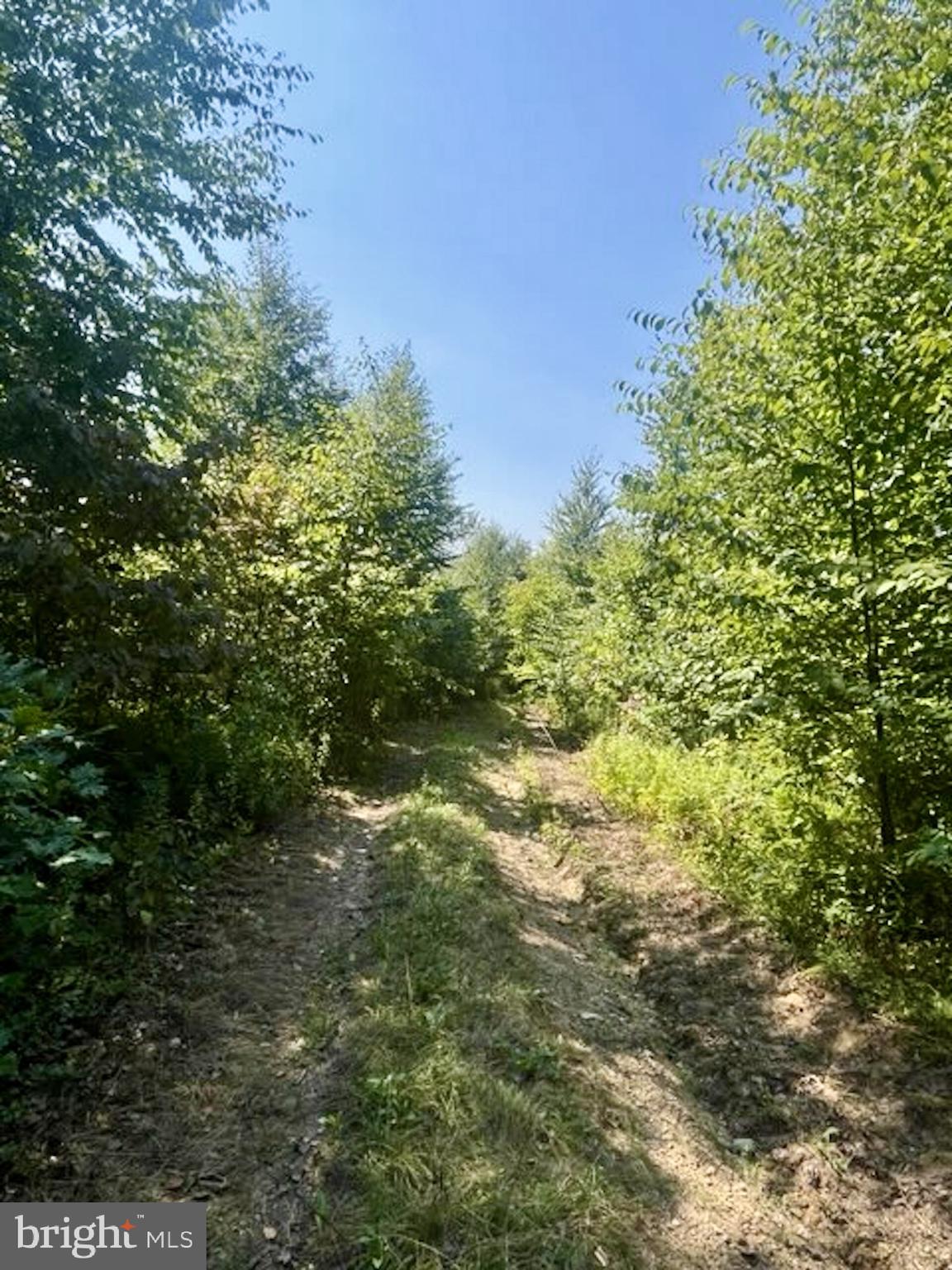 25 Beech Creek Mountain Road Beech Creek, PA 16822 - Photo 10 of 13