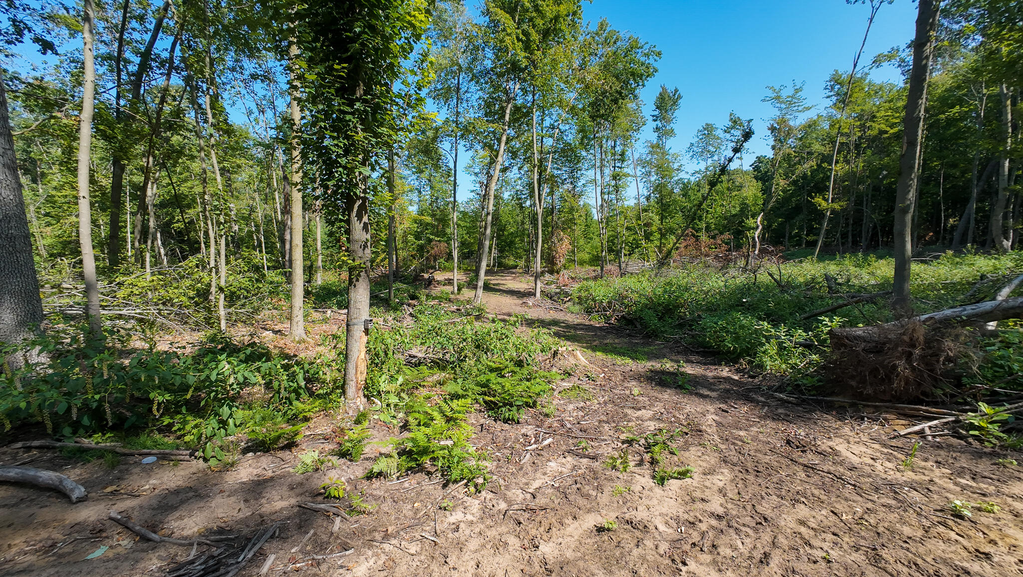 Vl Swenson Road Holton, MI 49425 - Photo 25 of 46 DJI_20260820114355_0034_D