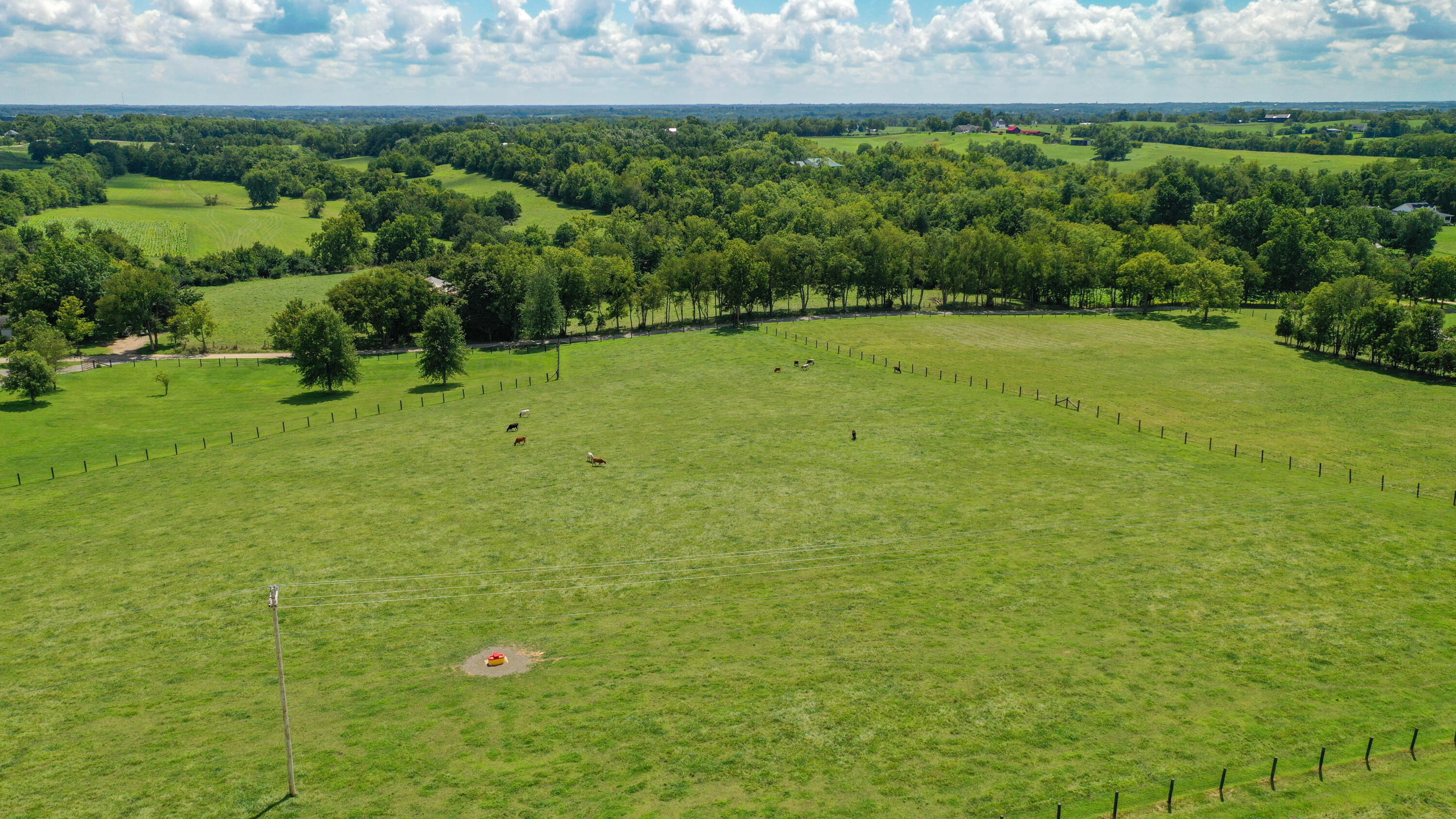 1005 Waits Road Cynthiana, KY 41031 - Photo 45 of 51 DJI_0925