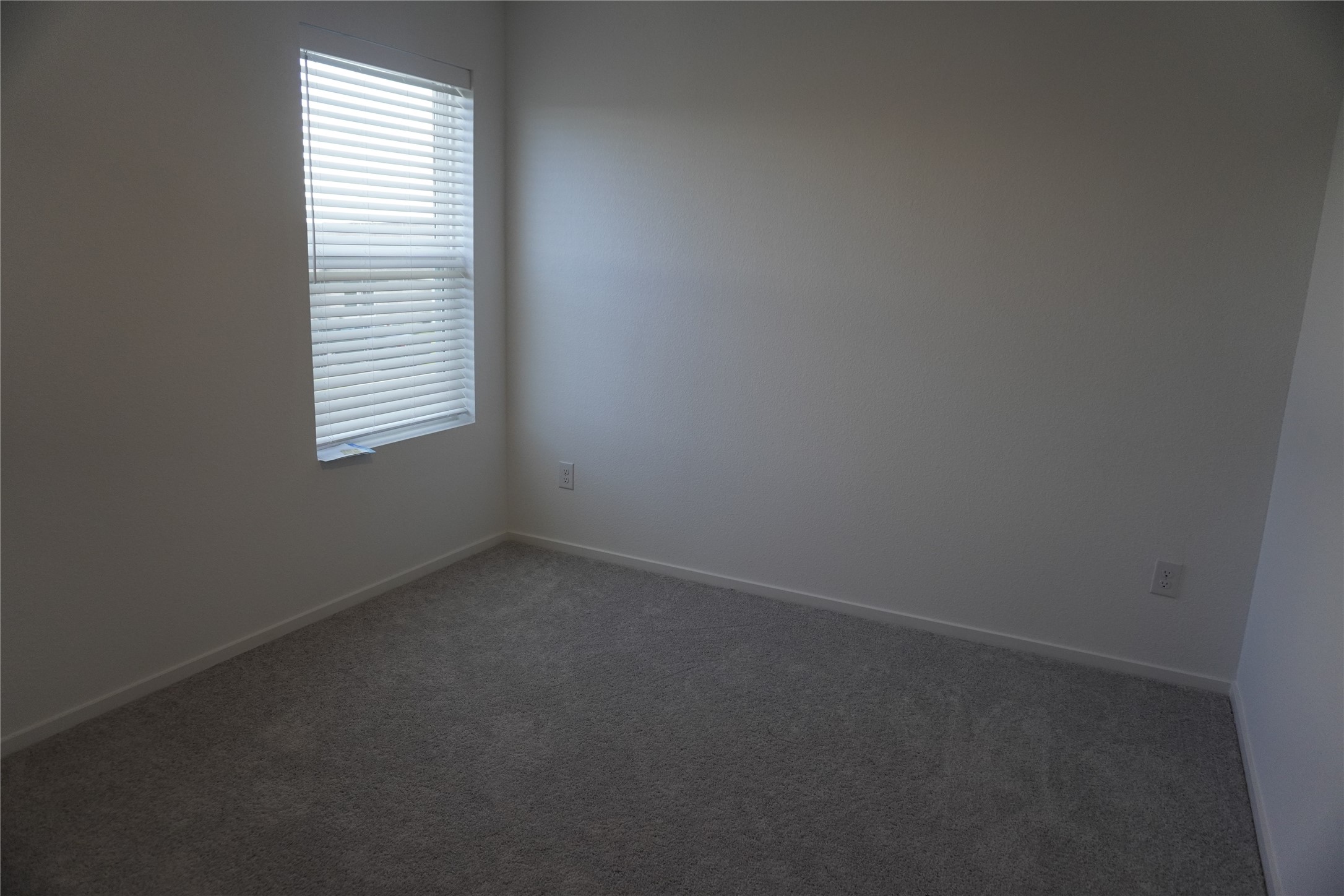 2622 American Ruby Drive Rosharon, TX 77583 - Photo 9 of 14